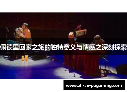 佩德里回家之旅的独特意义与情感之深刻探索 佩德里回家之旅的独特意义与情感之深刻探索