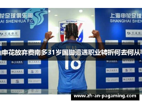 申花放弃费南多31岁国脚遭遇职业转折何去何从