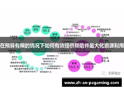 在预算有限的情况下如何有效提供帮助并最大化资源利用