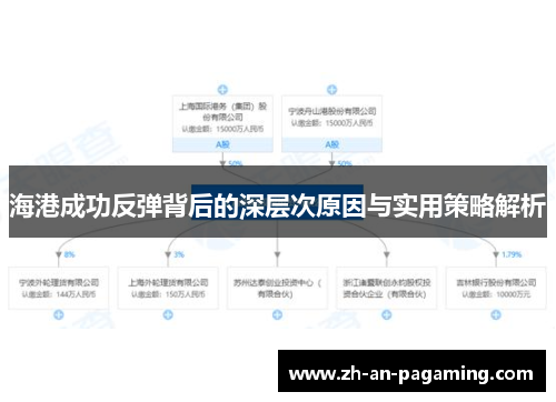 海港成功反弹背后的深层次原因与实用策略解析 海港成功反弹背后的深层次原因与实用策略解析