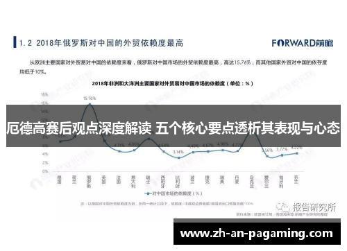 厄德高赛后观点深度解读 五个核心要点透析其表现与心态