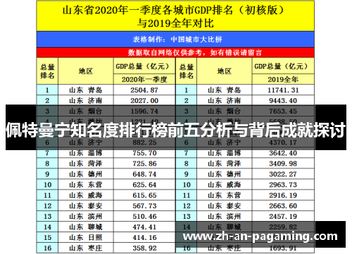 佩特曼宁知名度排行榜前五分析与背后成就探讨