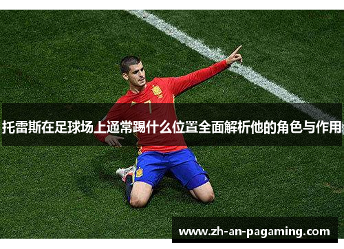 托雷斯在足球场上通常踢什么位置全面解析他的角色与作用 托雷斯在足球场上通常踢什么位置全面解析他的角色与作用