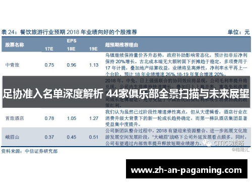 足协准入名单深度解析 44家俱乐部全景扫描与未来展望
