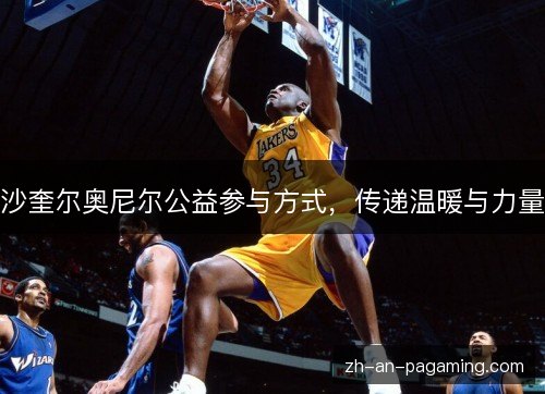 沙奎尔奥尼尔公益参与方式，传递温暖与力量
