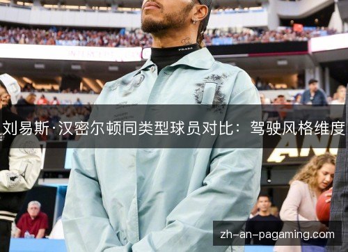 刘易斯·汉密尔顿同类型球员对比:驾驶风格维度 刘易斯·汉密尔顿同类型球员对比:驾驶风格维度